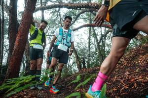 BIB: 
                            <button type="button" onclick="openModal(26344028)" class="btn btn-primary btn-sm float-right btn-popup" data-toggle="modal" data-target=".modal-high-quality">
                        <i class="fas fa-shopping-cart"></i> Add to Cart
                    </button>
                                            <button type="button" onclick="isThisMe(26344028, true)" class="btn btn-success btn-sm float-right btn-popup btn-isme hidden" data-toggle="tooltip" data-placement="bottom" title="นี่คือรูปของคุณใช่ไหม คลิกที่นี่เพื่อเอาเข้าอัลบั้ม">
                        <i class="fas fa-plus"></i> Add to album
                    </button>
                    <button type="button" onclick="isThisMe(26344028, false)" class="btn btn-warning btn-sm float-right btn-popup btn-isnotme hidden">
                        <i class="fas fa-ban"></i> Remove from album
                    </button>